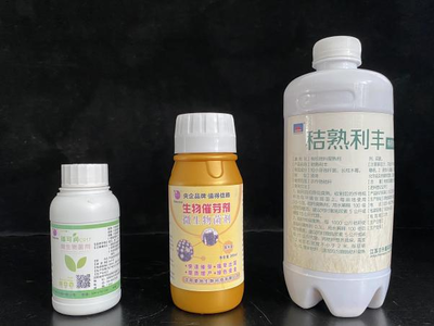 復(fù)合微生物菌劑的研發(fā)與應(yīng)用 推動(dòng)生物有機(jī)肥料發(fā)展新篇章