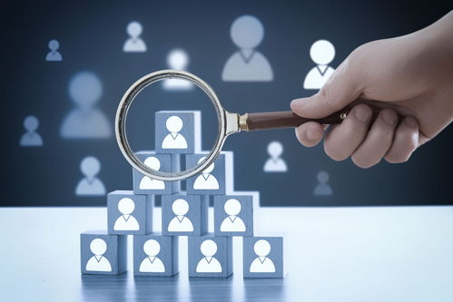 織密就業服務網絡 架穩企業引才發展橋——西海岸新區網絡技術服務助力人才就業